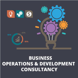 Business Operations and Development Consultancy